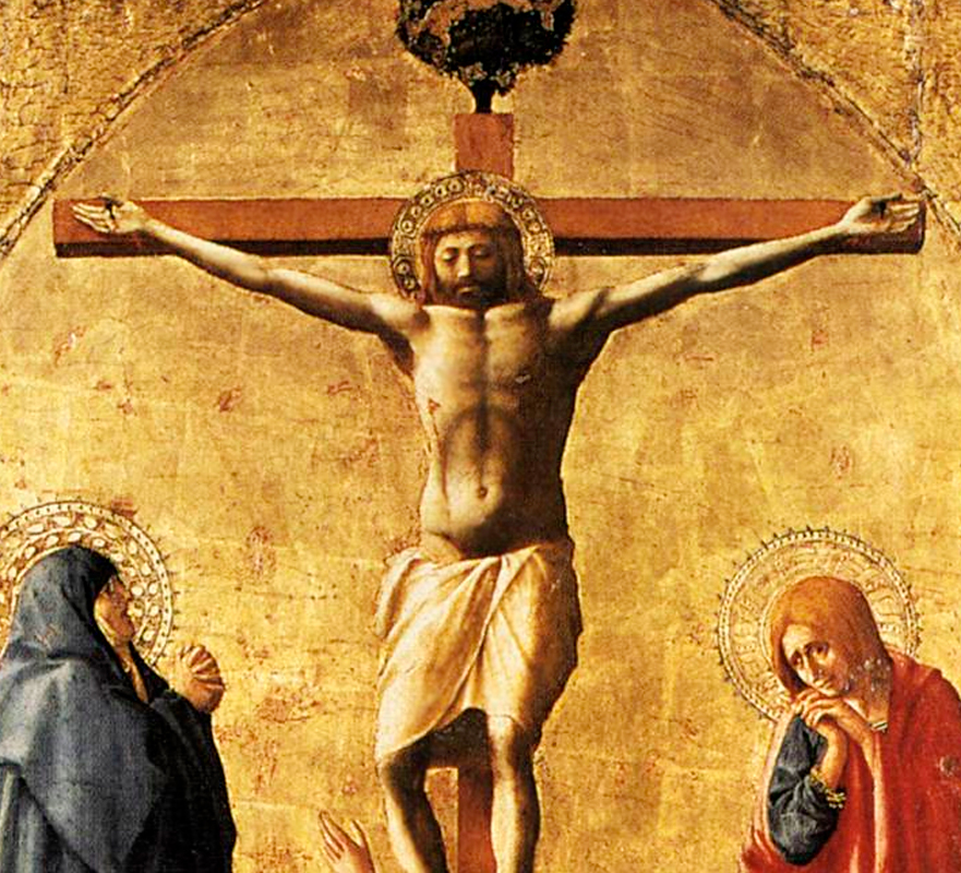  -   .   / www.donatelo.ru